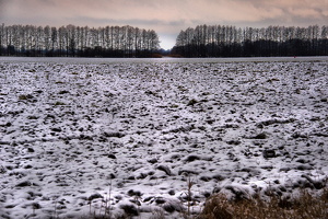 04.02.2015 – Landschaft bei kienitz