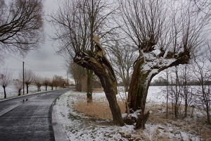 04.02.2015 Landstraße nach Kienitz