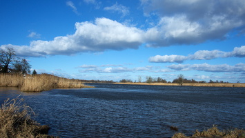 8. Februar 2015 –Oderlandschaft bei Lebus 