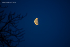 22.03.2025 Mond kurz vor Sonnenaufgang