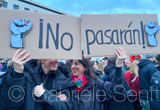 25.01.2025 Kundgebung am  Brandenburger Tor gegen AFD