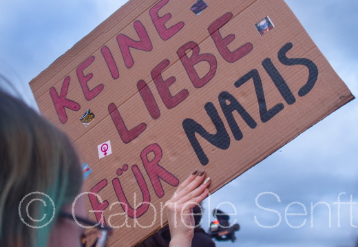 25.01.2025 Kundgebung am  Brandenburger Tor gegen AFD