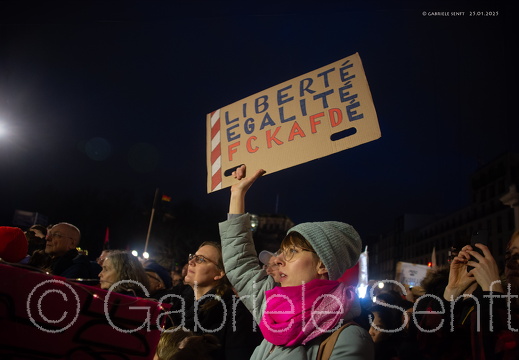 25.01.2025 Kundgebung am  Brandenburger Tor gegen AFD