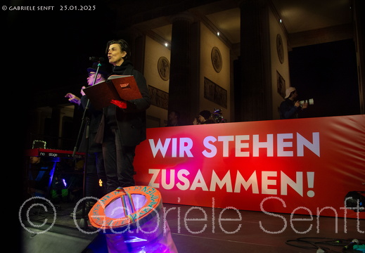 25.01.2025 Kundgebung am  Brandenburger Tor gegen AFD