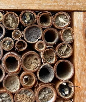 26.03.2022 –Bienehotel.