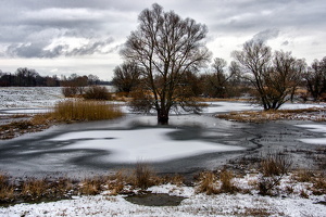 04. Februar .2015 Landschaft bei Kienitz