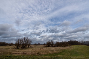 31.02.2020 Oderlandschft