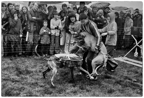 1979 Windhundrennen in Berlin
