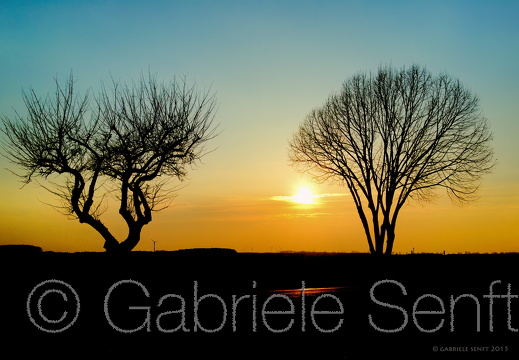 27.02.2015 Landschaft bei Weesow, bei Werneuchen