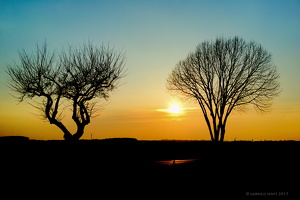 27.02.2015 Landschaft bei Weesow, bei Werneuchen