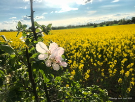 30.04.2020  in Brandenburg unterwegs