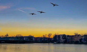 2025 01 06 SchwäneIMG 7719