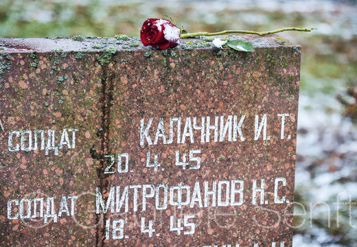 04.02.2015 an einem Grabmal des Ehrenfriedhofs in Letschin