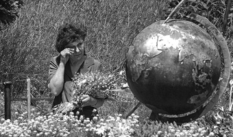 2014 Bilddokumentation Target-Die Brücke von Varvarin