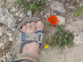 Mai 2011 unterwegs auf Zypern