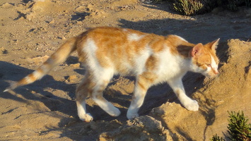 Mai 2011 unterwegs auf Zypern