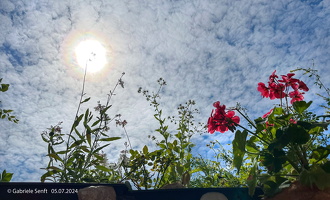 05.07.2024  Balkonblick