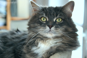 2014-08-31 um 14-59-52