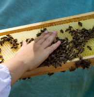 S001 20200722-13-52-42  b 