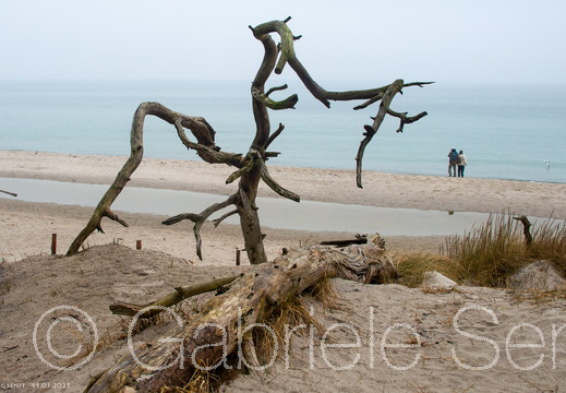 20250311-12-22-01-Bearbeitet-Bearbeitet