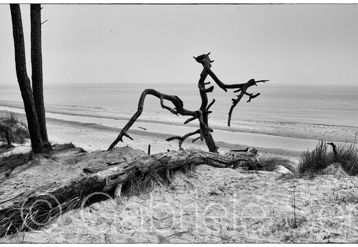 20250311-12-21-33-Bearbeitet-Bearbeitet