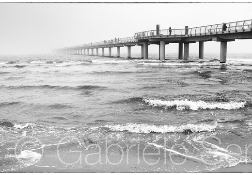 20250310-13-48-36-Bearbeitet-Bearbeitet