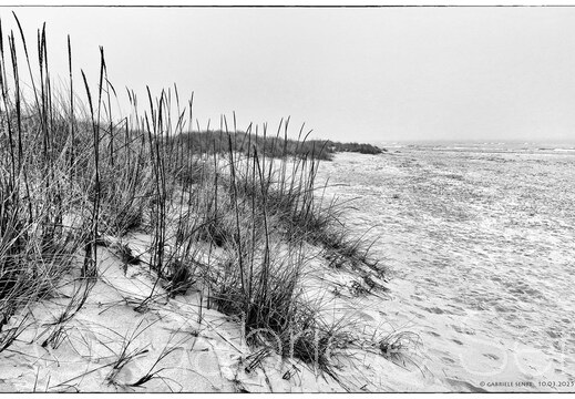 20250310-12-19-50-Bearbeitet-2-Bearbeitet-Bearbeitet-Bearbeitet