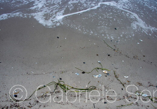 20250310-13-37-09-Bearbeitet