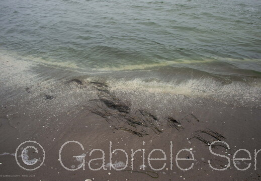 20250310-13-43-12-Bearbeitet