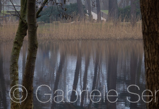 20250310-14-07-01-Bearbeitet