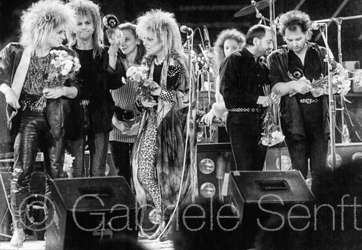 Silly 2 neuBild183-1987-0119-303 Kopie