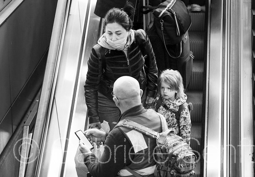 29.04. 2011 S118 im Buch "Die Heimat zu verlassen"