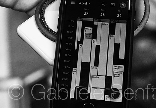 26.04.2022 S120 im Buch "Die Heimat zu verlassen"