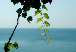 2008 08  Bulgarien (355)1