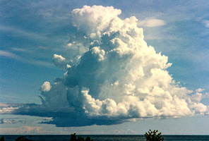 1991 Gotland.  Wolke
