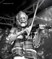 2014 Klaus der Geiger