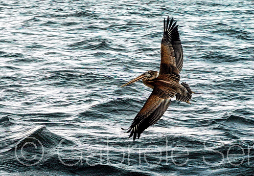 2008_07 Nikaragua