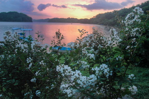 2008-07-26-01-12-00 1