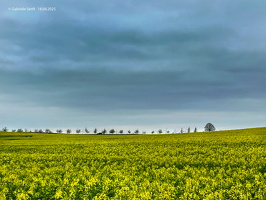 2025 04 18 OsternIMG 9042