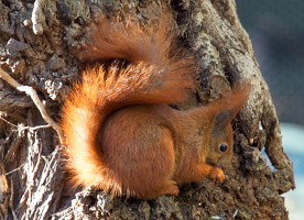 2018-02-04-13-23-54 Kopie