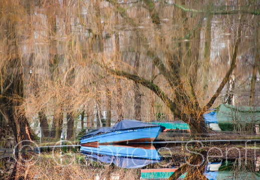 27. Januar 2019 Berlin Köpenick an der Baumgarteninsel