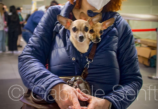 20220426-17-31-23-Bearbeitet-Bearbeitet-2 Kopie