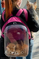 20220429-17-09-54-Bearbeitet