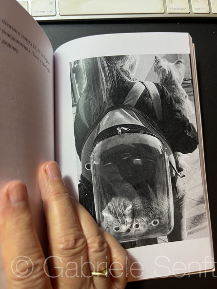 2025_11_11 Ukrainisches Buch Katze.jpg
