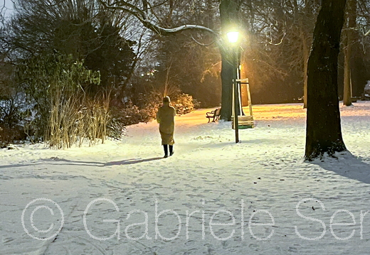12.01.2026 im Schloßpark Berlin Köpenick