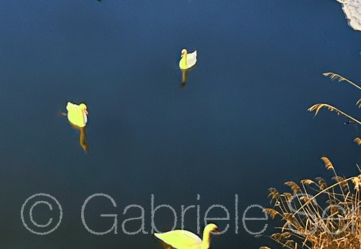 12.01.2026 Blick von der Langen Brücke in Berlin Köpenick