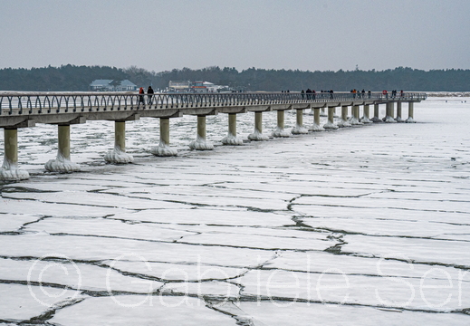 11.02.2026 Prerow, an der Seebrücke