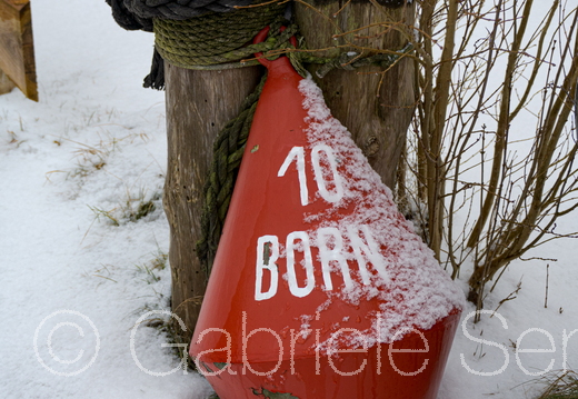 11.02.2026 in Born