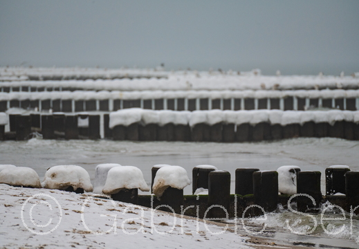 11.02.2025 Ahenshoop