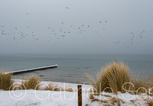 11.02.2025 Ahenshoop